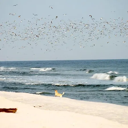 Deich-residenz App. 6 Daire *