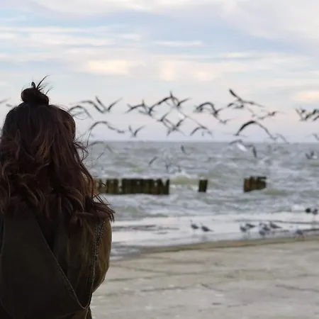 Deich-residenz App. 6 * Grömitz