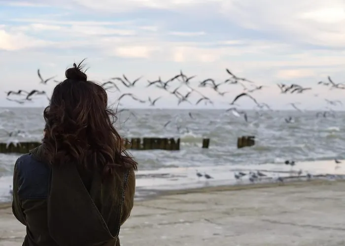 Deich-residenz App. 6 * Grömitz